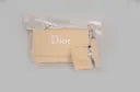 Dior Style Crossbody â€“ Trendy and Practical Design